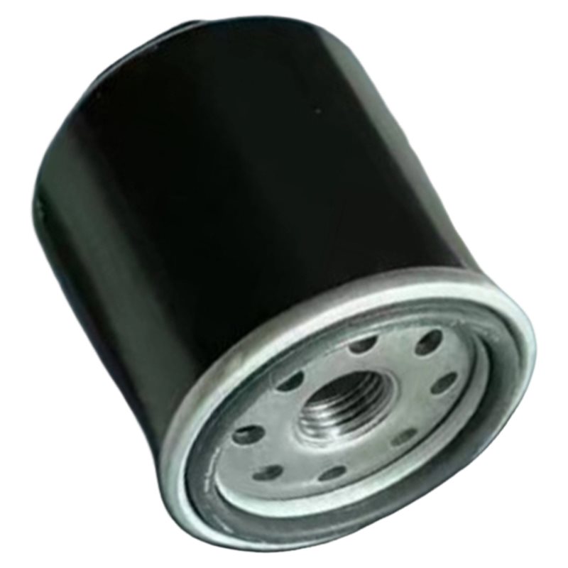 ABRU-320-400CC BS175MN-184MN F - Motorcycle Oil Filter recensione e prezzo